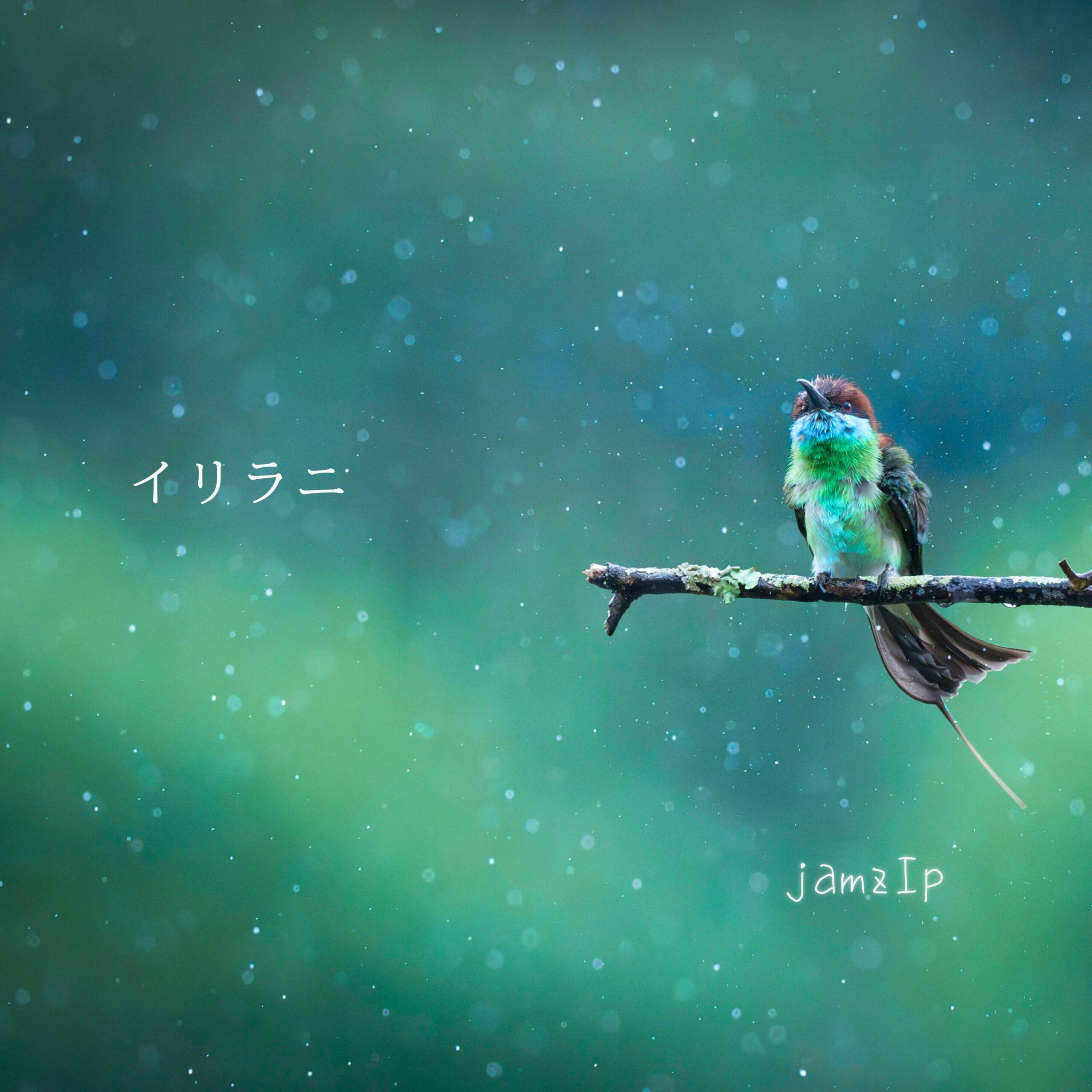 {post?.title}ジャケット